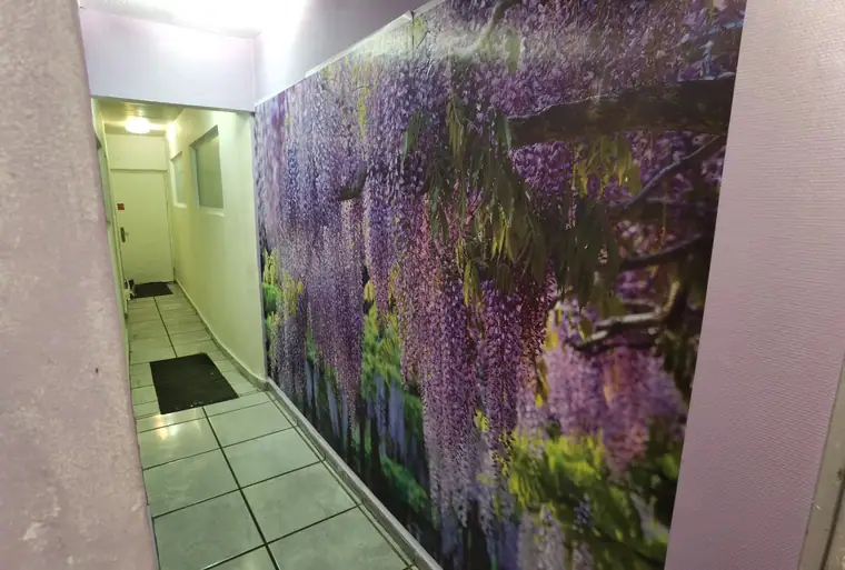 Le couloir du bas et sa fresque de glycines